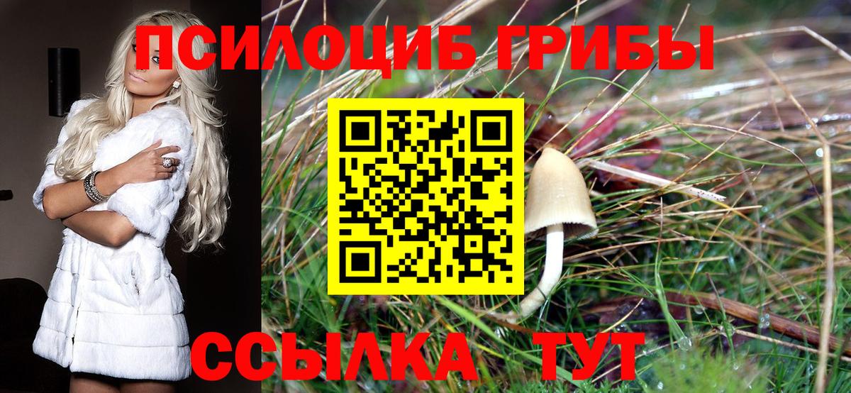 Галлюциногенные грибы Psilocybine cubensis  Вход с VPN  Тольятти  Псилоцибиновые грибы прущие грибы 